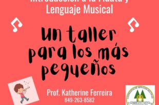 Curso Taller de Flauta Dulce y Lenguaje Musical